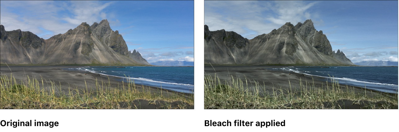 블리치 필터의 효과를 보여주는 캔버스