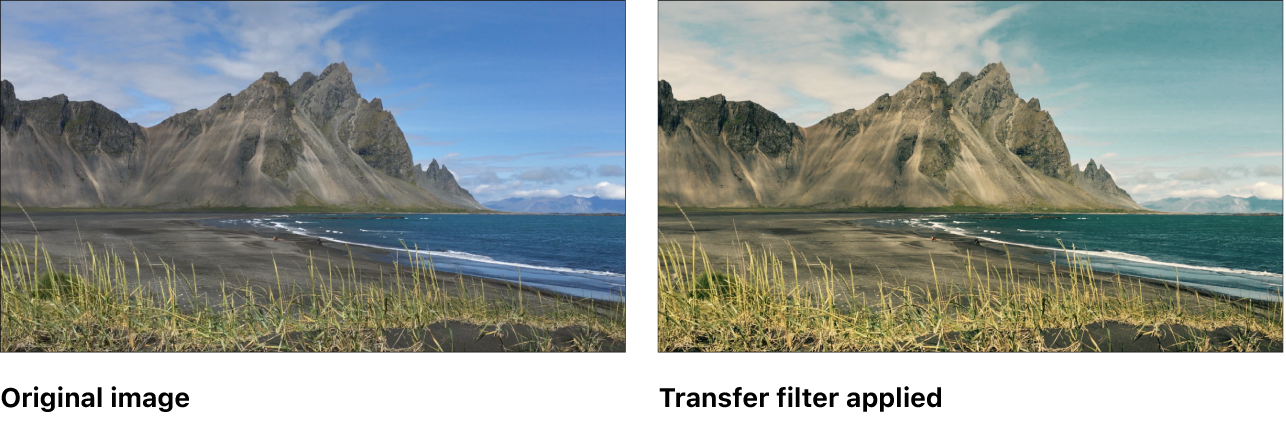 전송 필터의 효과를 보여주는 캔버스