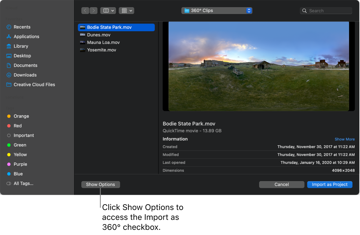 가져오기 대화상자의 보기 옵션 버튼.