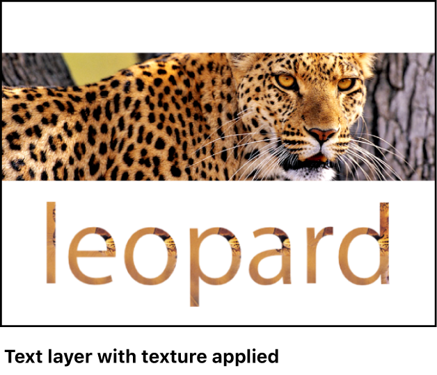 显示应用了纹理的文本的画布