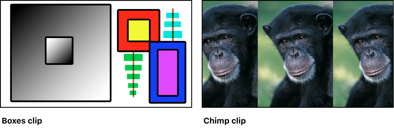 Dos imágenes de origen: una colección de cajas de colores y una foto de un chimpancé