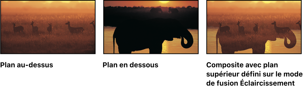 Un exemple de fusion Éclaircissement, avec deux images source et l’image fusionnée obtenue