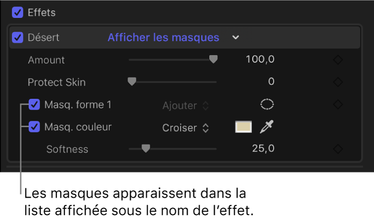Section Effets de l’inspecteur vidéo avec un masque de forme et un masque de couleur ajoutés à un effet