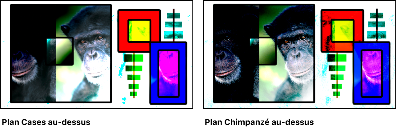 Deux versions des images de boîtes et de chimpanzé fusionnées à l’aide du mode de fusion Lumière vive, l’une montrant le plan de boîtes au-dessus et l’autre montrant le plan de chimpanzé au-dessus