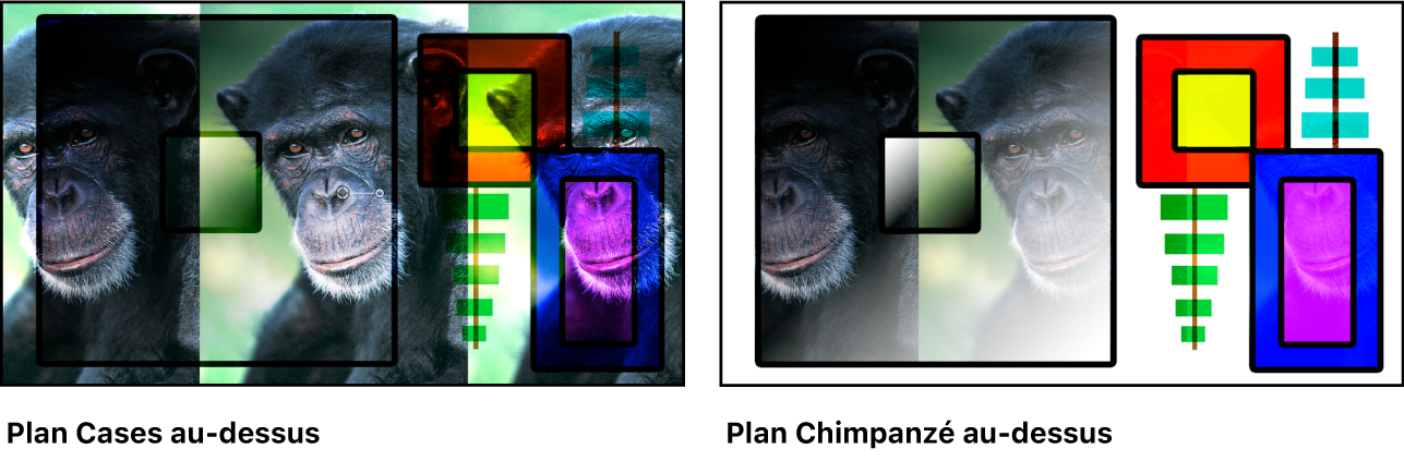 Deux versions des images de boîtes et de chimpanzé fusionnées à l’aide du mode de fusion Superposition, l’une montrant le plan de boîtes au-dessus et l’autre montrant le plan de chimpanzé au-dessus