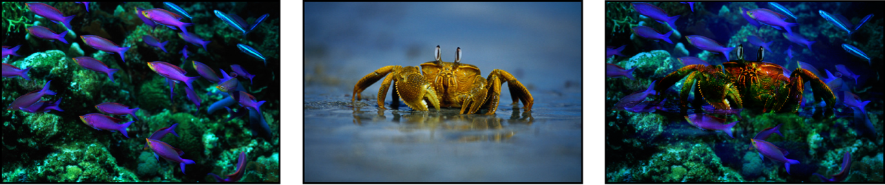 「オーバーレイ」ブレンドの例。2つのソース画像と、ブレンドされた結果の画像が表示されています