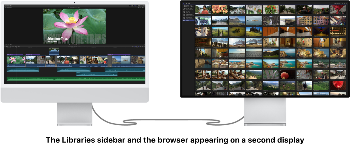 보조 디스플레이에 표시된 보관함 사이드바 및 브라우저