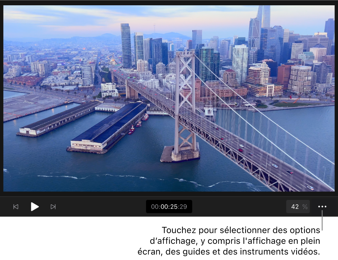 Une image vidéo dans le visualiseur, avec commandes de lecture, timecode, la commande « Niveau de zoom » et le bouton Plus en dessous.