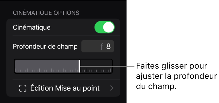Section « Options cinématiques » de l’inspecteur affichant le curseur « Profondeur de champ ».