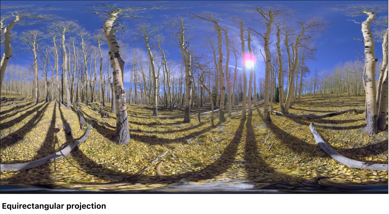 An example of equirectangular projection.