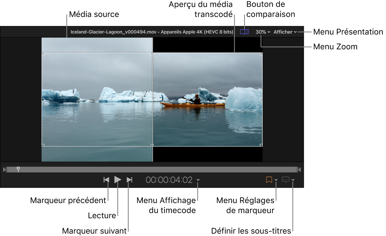Zone d’aperçu de Compressor avec toutes les commandes décrites dans cette section.