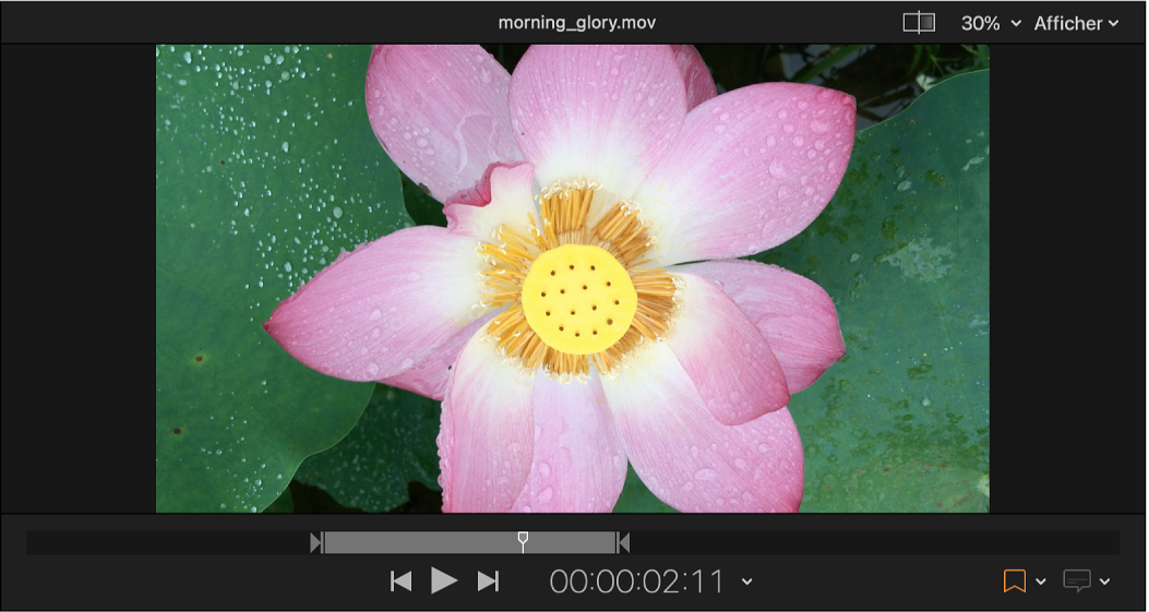 Zone d’aperçu de Compressor avec points d’entrée et de sortie sur la timeline.