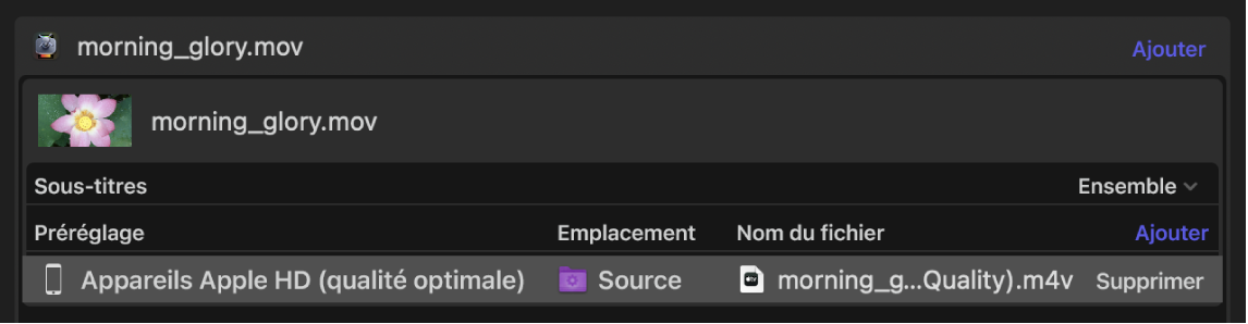 Préréglage appliqué sélectionné dans la zone du lot de Compressor.