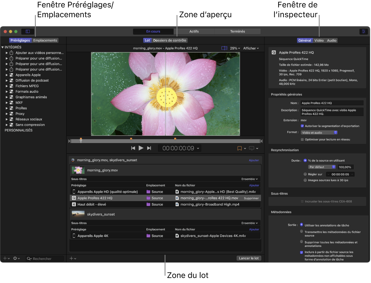 Fenêtre de Compressor en présentation En cours, affichant la sous-fenêtre Préréglages/Emplacements, la zone d’aperçu, la zone du lot et la sous-fenêtre de l’inspecteur.