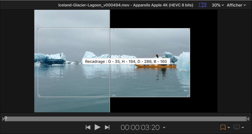 Zone d’aperçu de Compressor affichant une image en cours de recadrage manuel.