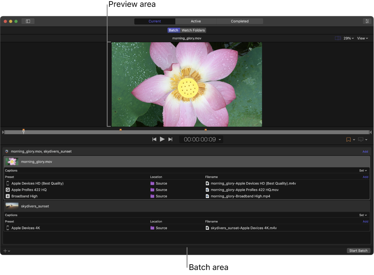 「現在」ビューでプレビュー領域とバッチ領域が表示されているCompressorウインドウ。