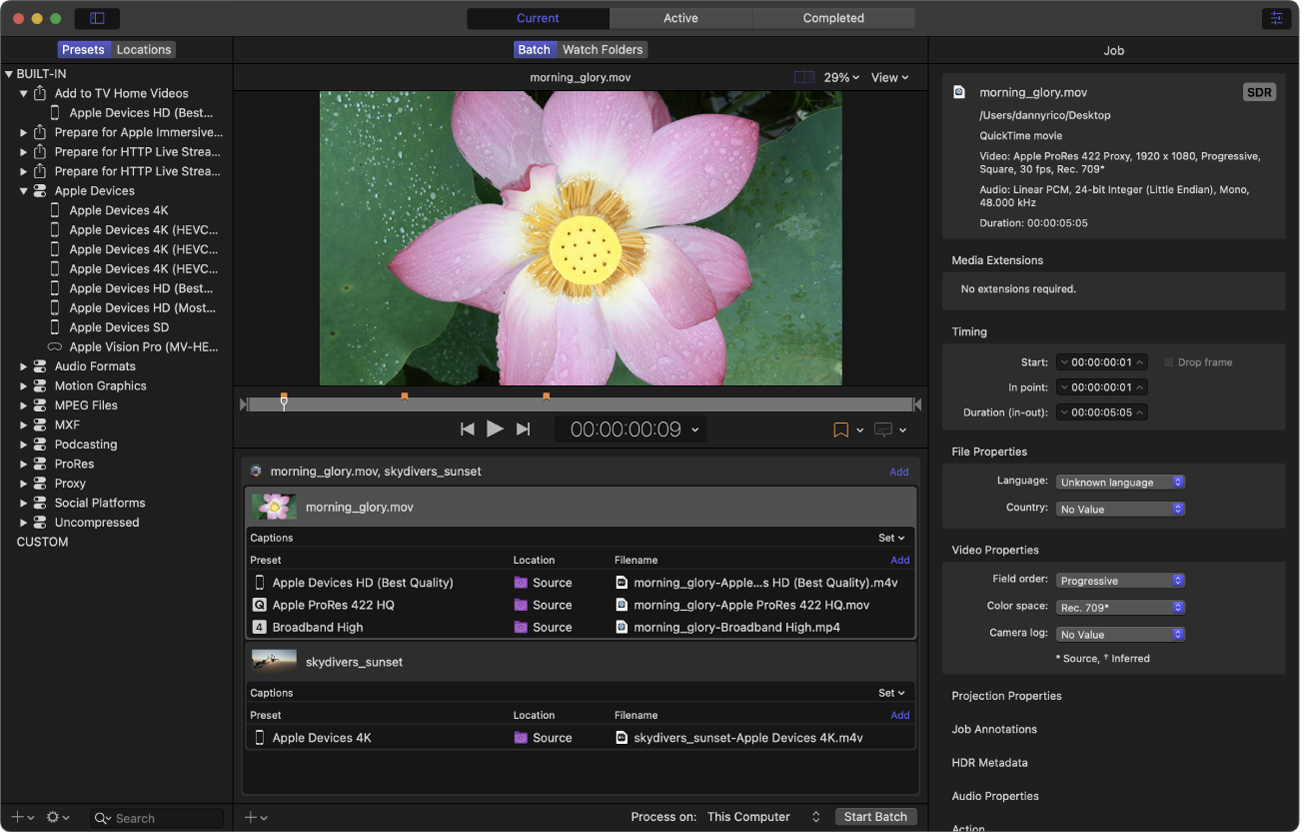 バッチ領域でジョブが選択されているCompressorウインドウ。