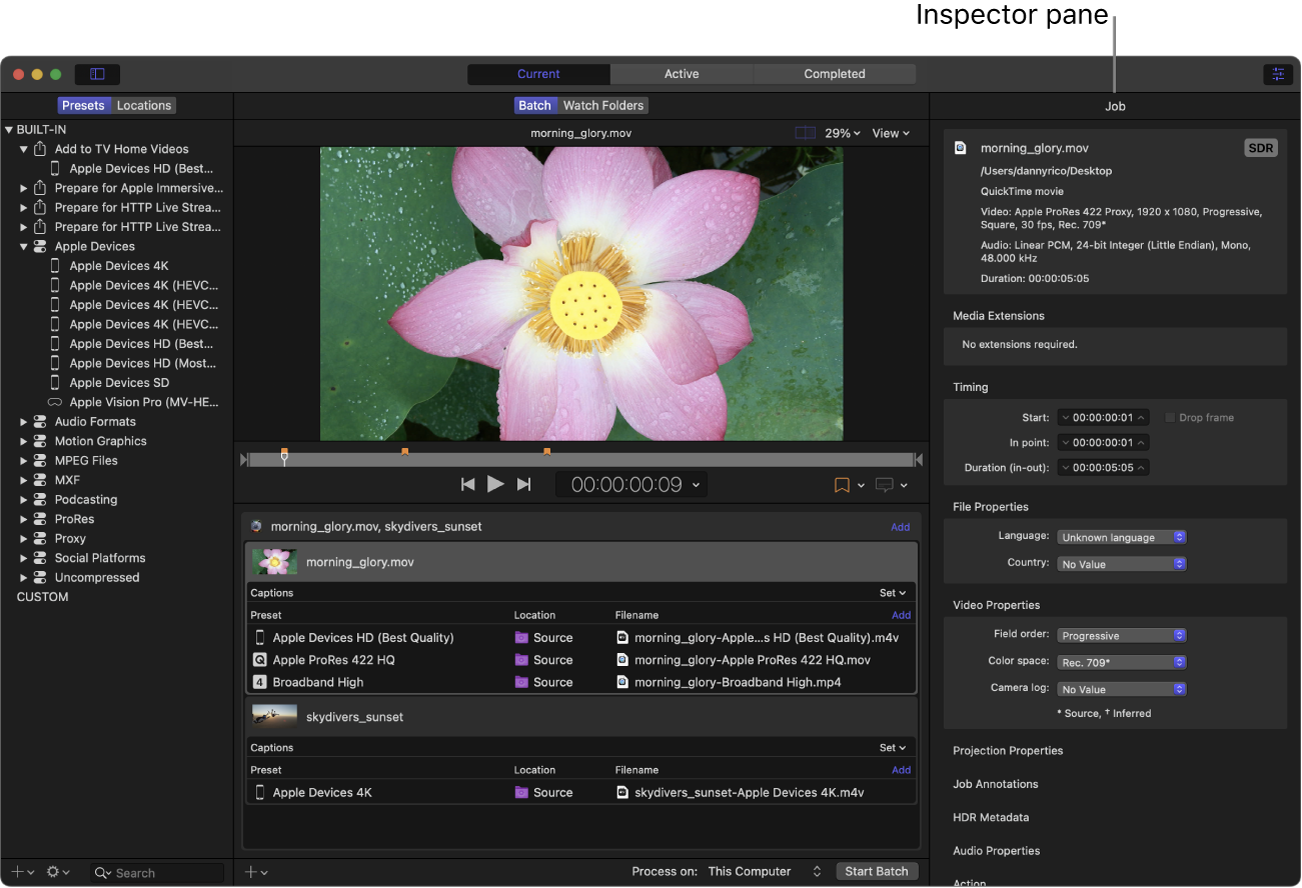 显示检查器面板的 Compressor 窗口。