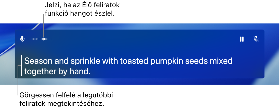 Valós idejű szöveges átiratok hanghoz.