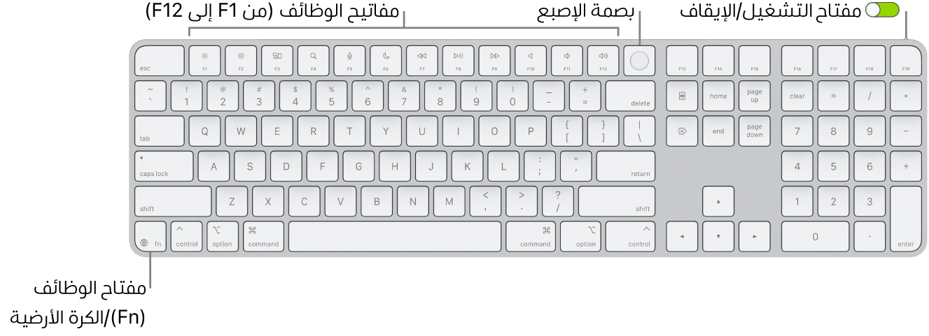 لوحة مفاتيح ماجيك المزودة ببصمة الإصبع ولوحة مفاتيح رقمية، يظهر فيها صف مفاتيح الوظائف وبصمة الإصبع على امتداد الجزء العلوي، ومفتاح الوظائف (Fn)/الكرة الأرضية على يمين مفتاح ⌦.