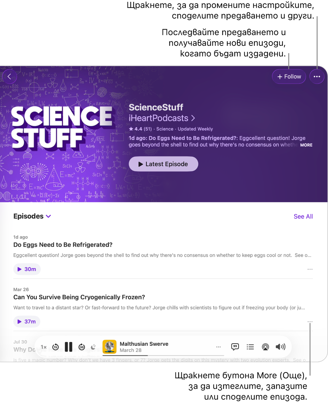 Прозорец на приложението Podcasts (Подкасти), който показва списък с епизоди в подкаст. С помощта на бутона Follow (Следвай) в горната част на прозореца можете да последвате предаването, а с бутона More (Повече) до всеки епизод можете да изтеглите или запазите епизода.