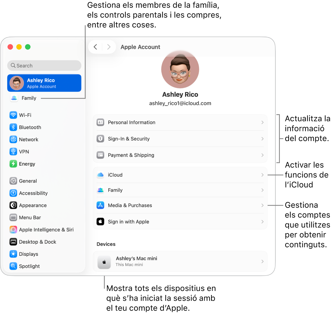 A la configuració del sistema, es veu la secció del compte d’Apple, amb opcions per actualitzar la informació del compte, activar o desactivar les funcions de l’iCloud o gestionar els comptes de contingut multimèdia, i la secció “En família”, amb opcions per configurar un grup familiar, establir controls parentals i administrar les compres, entre altres coses.