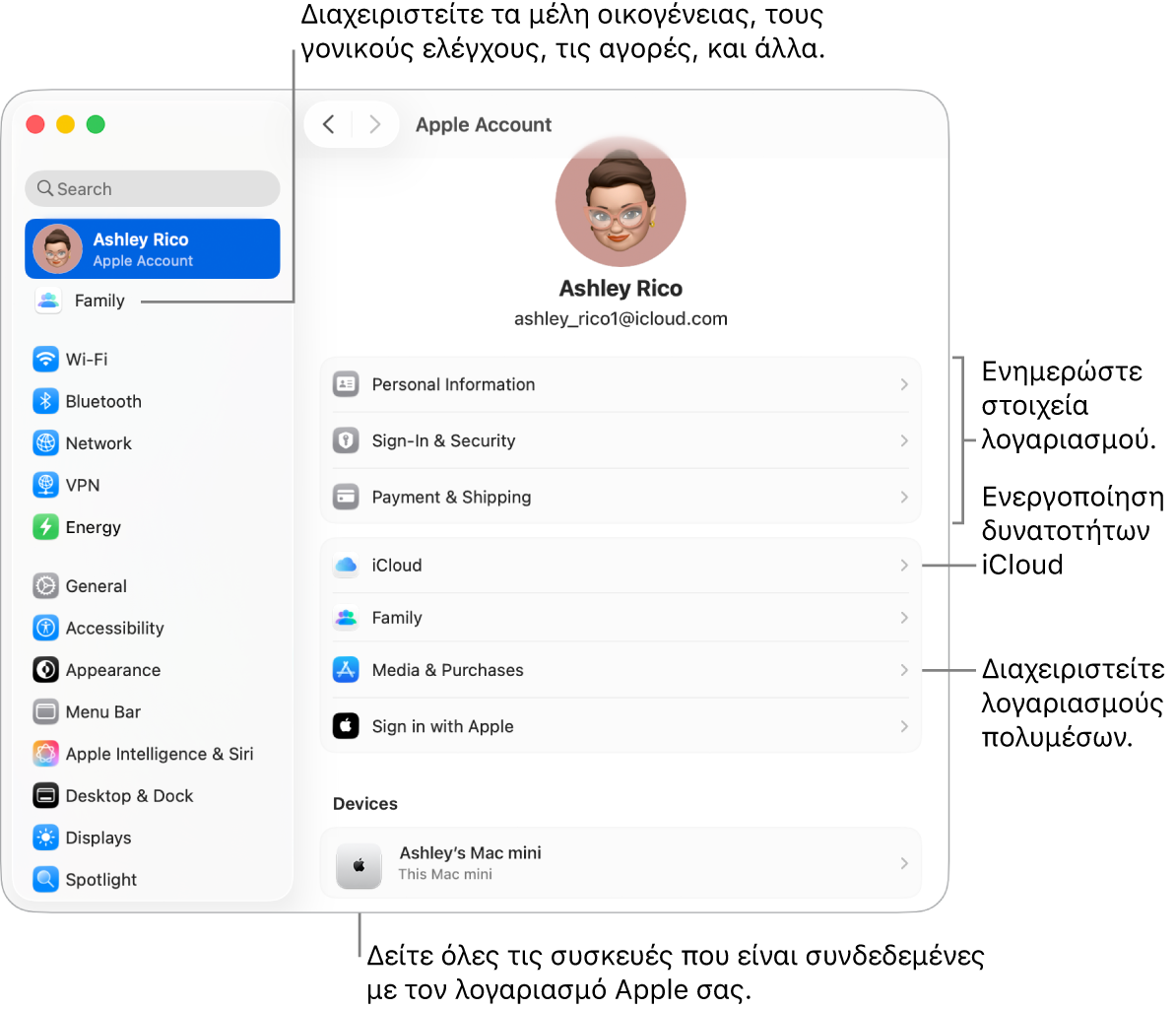 Οι ρυθμίσεις λογαριασμού Apple στις Ρυθμίσεις συστήματος με επεξηγήσεις για ενημέρωση των στοιχείων λογαριασμού, ενεργοποίηση ή απενεργοποίηση δυνατοτήτων iCloud, διαχείριση λογαριασμών πολυμέσων, και η Οικογένεια όπου μπορείτε να διαχειριστείτε τα μέλη οικογένειας, τον γονικό έλεγχο, τις αγορές και πολλά άλλα.