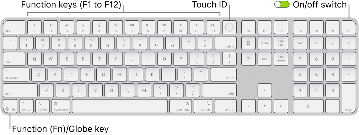 The Magic Keyboard with Touch ID and Numeric Keypad showing the row of function keys and Touch ID across the top, and the Function (Fn)/Globe key to the right of the Delete key.
