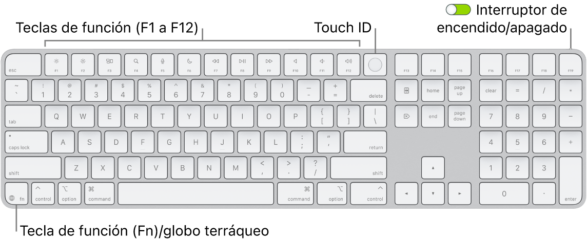 El Magic Keyboard con Touch ID y teclado numérico mostrando la fila de teclas de función con el sensor Touch ID en la parte superior y la tecla de función (Fn)/globo terráqueo a la derecha de la tecla Suprimir.