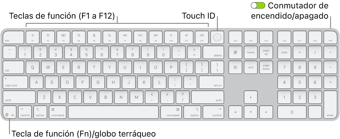 Magic Keyboard con Touch ID y teclado numérico, con la fila de teclas de función y Touch ID en la parte superior, y la tecla del globo terráqueo o función (Fn) a la derecha de la tecla Suprimir.