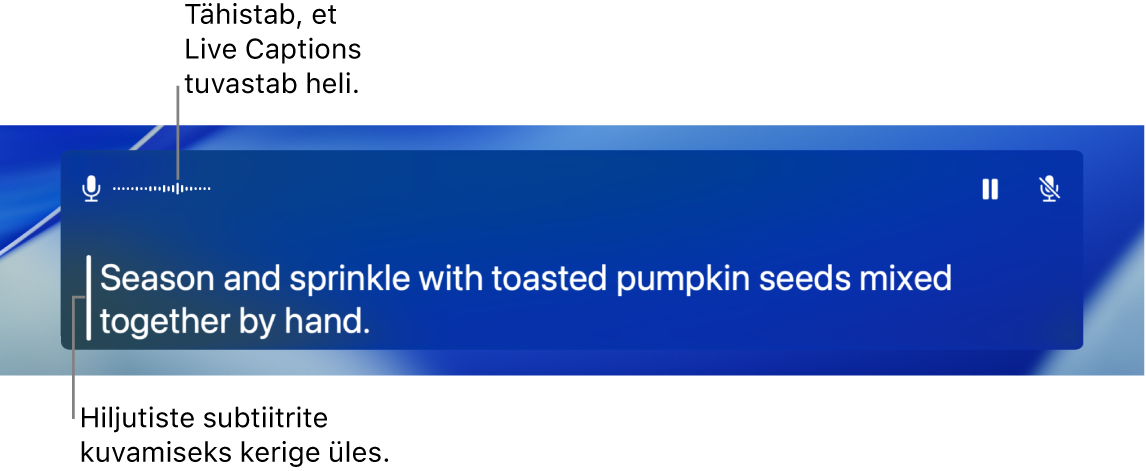 Reaalajas heli subtiitrid.