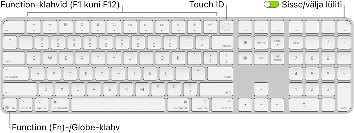 Touch ID-ga ja numbriklahvistikuga Magic Keyboard, mille ülaosas on funktsiooniklahvide rida ja Touch ID ning klahvist Delete paremal klahv Function (Fn)/Globe.