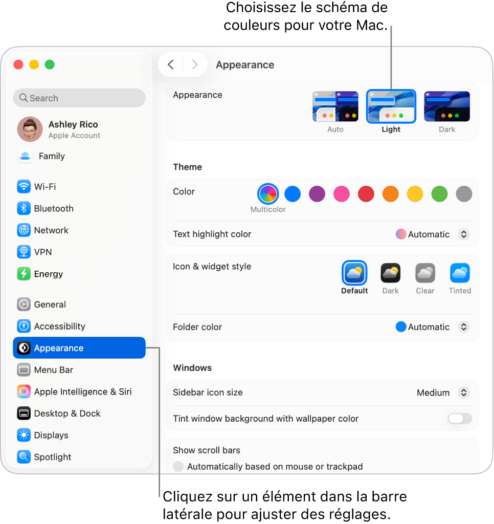 Fenêtre Apparence dans « Réglages Système ».