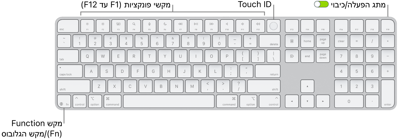 ה-Magic Keyboard עם ה-Touch ID ו״משטח ספרות״ מציגים את שורת מקשי הפונקציה וה-Touch ID לאורך החלק העליון, ואת מקש הפונקציה (Fn)/גלובוס מימין למקש Delete.