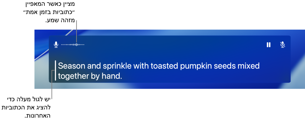 כתוביות בזמן אמת עבור שמע.