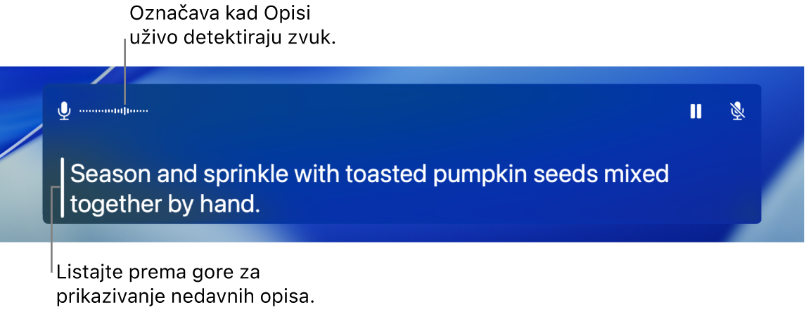 Titlovi u stvarnom vremenu za audio zapis.