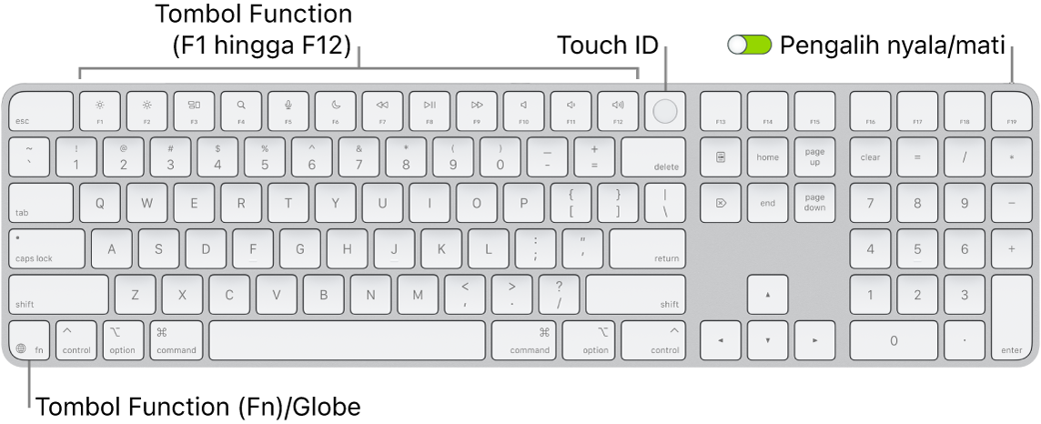 Magic Keyboard dengan Touch ID dan Keypad Numerik menampilkan baris tombol function dengan Touch ID di sepanjang bagian atas dan tombol Function (Fn)/Globe di sebelah kanan tombol Delete.