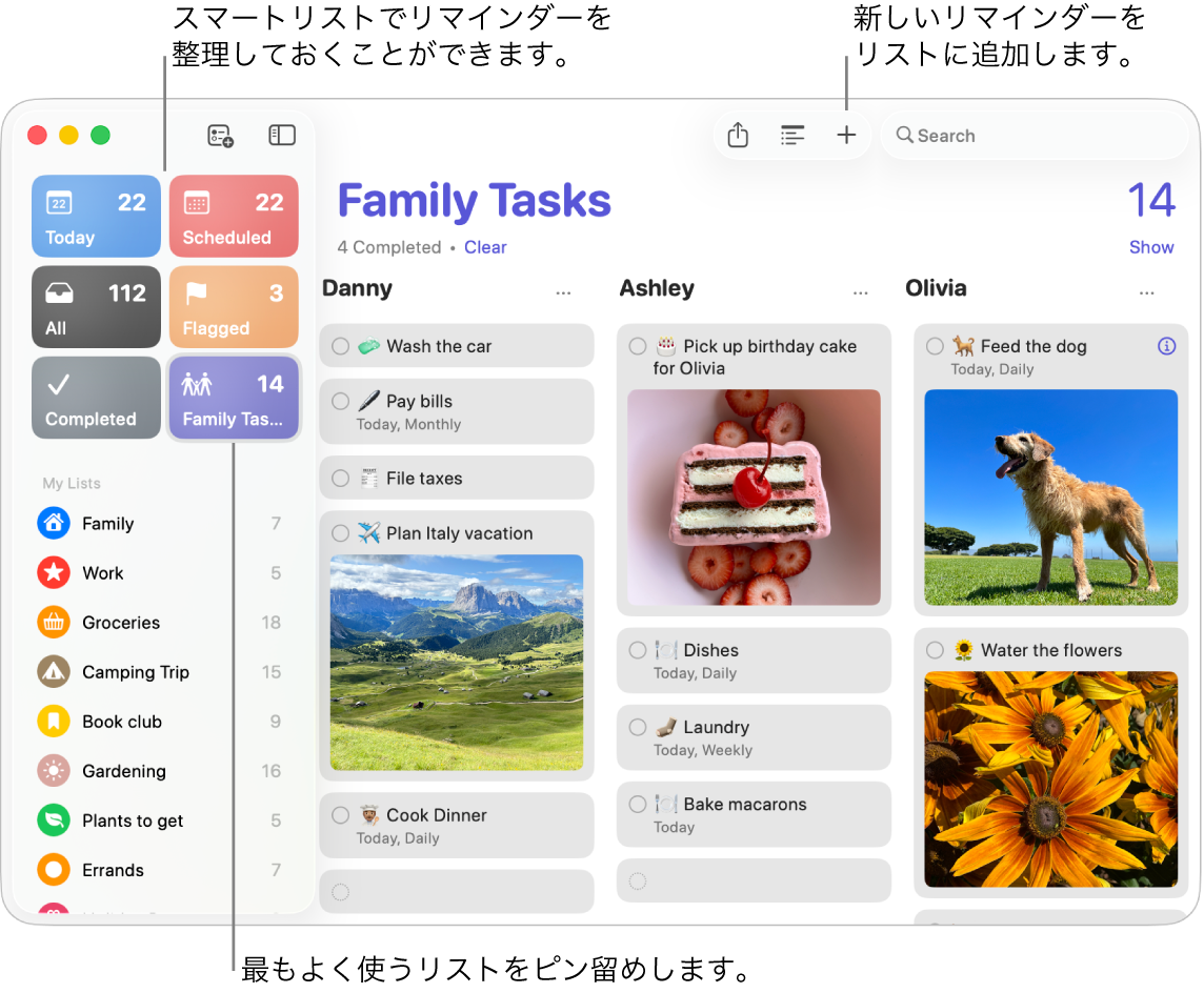 「リマインダー」ウインドウ。左側にはスマートリスト、右側にはほかのリマインダーとリストがあります。