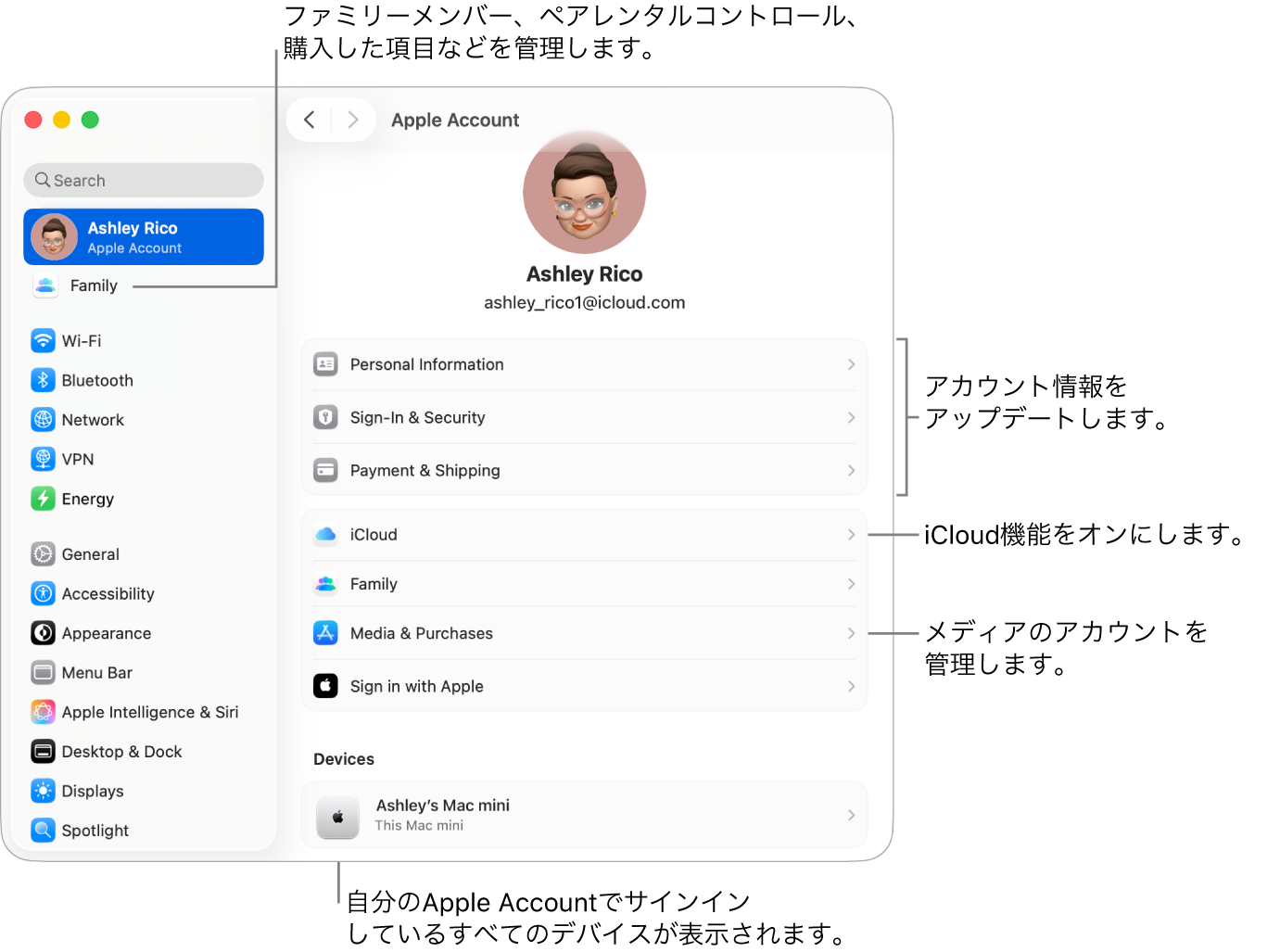 「システム設定」の「Apple Account」設定。アカウント情報のアップデート、iCloud機能のオン/オフ、メディアアカウントの管理と、ファミリーメンバー、ペアレンタルコントロール、購入などを管理できる「ファミリー」へのコールアウトがあります。