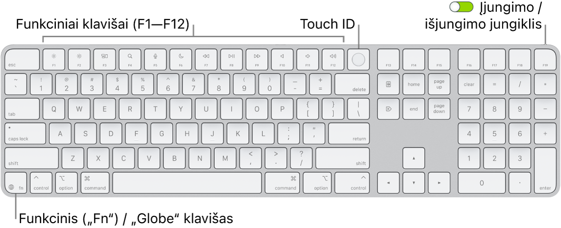 „Magic Keyboard“ su „Touch ID“ ir skaitmenų klaviatūra, viršuje matosi funkcinių klavišų eilė, „Touch ID“, o klavišo „Delete“ dešinėje – klavišas „Function“ („Fn“) / „Globe“.