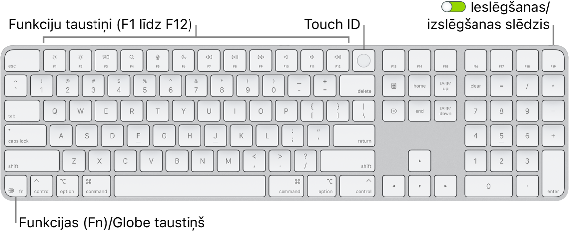 Tastatūra Magic Keyboard ar Touch ID un ciparu tastatūra, kam augšdaļā redzama funkciju taustiņu rinda un Touch ID, bet pa labi no taustiņa Delete — taustiņš Function (Fn)/Globe.