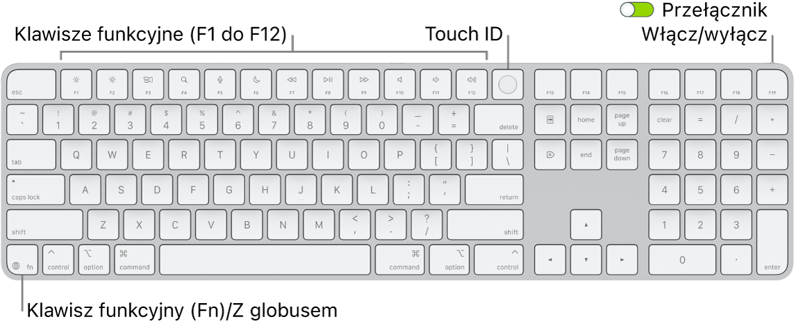 Klawiatura Magic Keyboard z Touch ID oraz klawiaturą numeryczną. Na górze znajduje się rząd klawiszy funkcyjnych oraz czytnik Touch ID, natomiast na prawo od klawisza Delete widoczny jest klawisz funkcji (Fn)/klawisz globu.