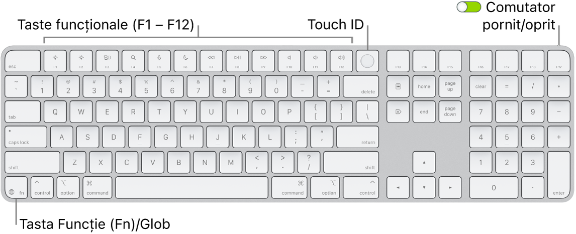 Tastatura Magic Keyboard cu Touch ID și tastatură numerică afișând rândul de taste funcționale și senzorul Touch ID în partea de sus, precum și tasta Funcție (Fn)/Glob la dreapta tastei Șterge.
