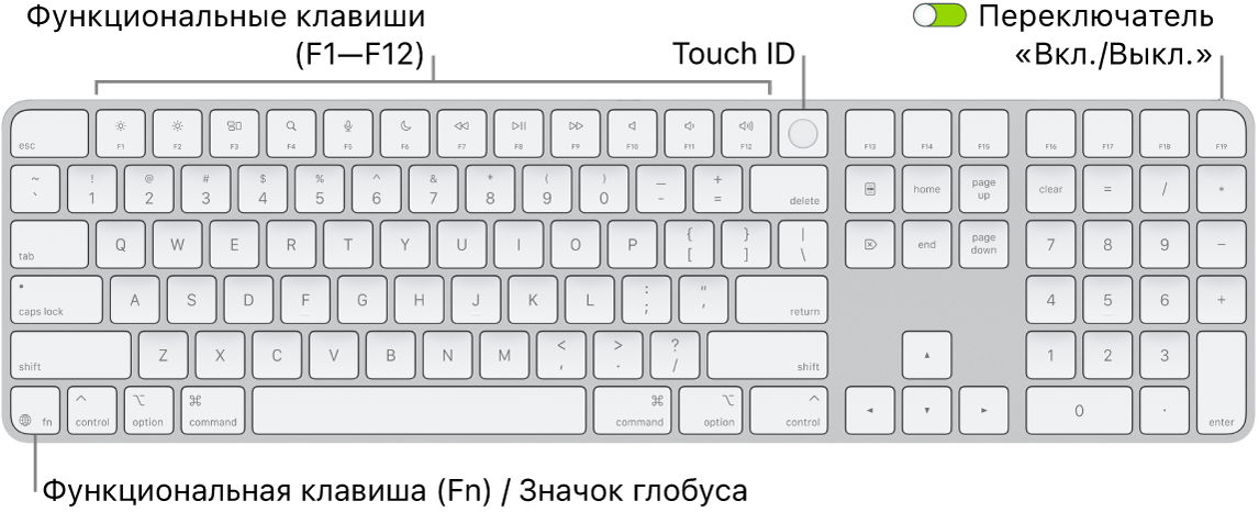Клавиатура Magic Keyboard с сенсором Touch ID и цифровой клавишной панелью. Показаны функциональные клавиши, сенсор Touch ID вверху и клавиша Function (Fn) / глобуса справа от клавиши Delete.