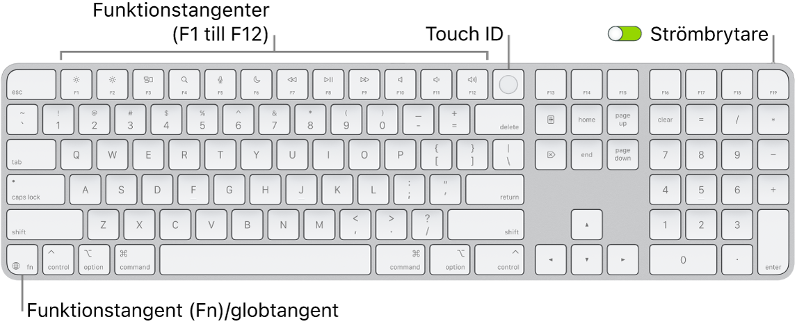 Magic Keyboard med Touch ID och numeriskt tangentbord där raden med funktionstangenter och Touch ID visas längs överkanten och funktions (Fn)-/globtangenten till höger om backstegstangenten.
