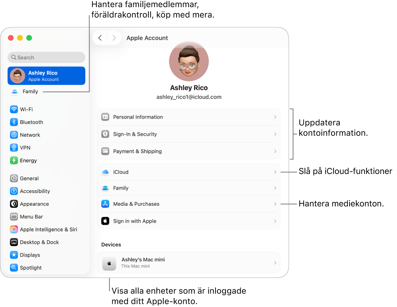 Apple‑kontoinställningarna i Systeminställningar med streck som pekar mot alternativ för att uppdatera kontoinformation, slå på eller stänga av iCloud-funktioner, hantera mediekonton och Familj där du kan hantera familjemedlemmar, föräldrakontroller, köp med mera.