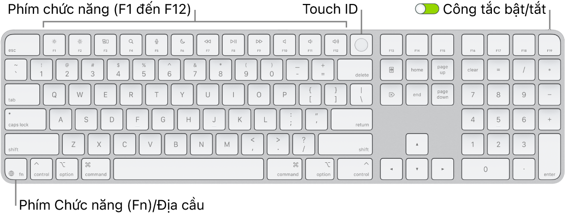 Magic Keyboard có Touch ID và Bàn phím số đang hiển thị hàng các phím chức năng, Touch ID ở trên cùng và phím Chức năng (Fn)/Địa cầu ở phía bên phải của phím Delete.