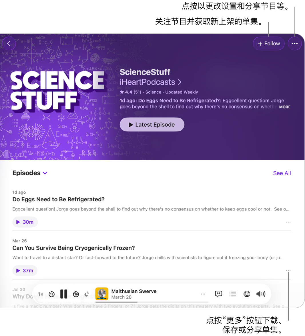 “播客”窗口显示播客中的单集列表。窗口顶部的“关注”按钮可让你关注节目,每个单集旁边的“更多”按钮可让你下载或保存单集。