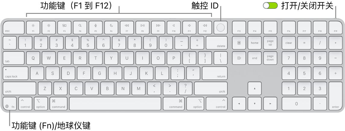 配备触控 ID 和数字小键盘的妙控键盘，顶部显示一排功能键和触控 ID，功能键 (Fn)/地球仪键位于 Delete 键的右侧。