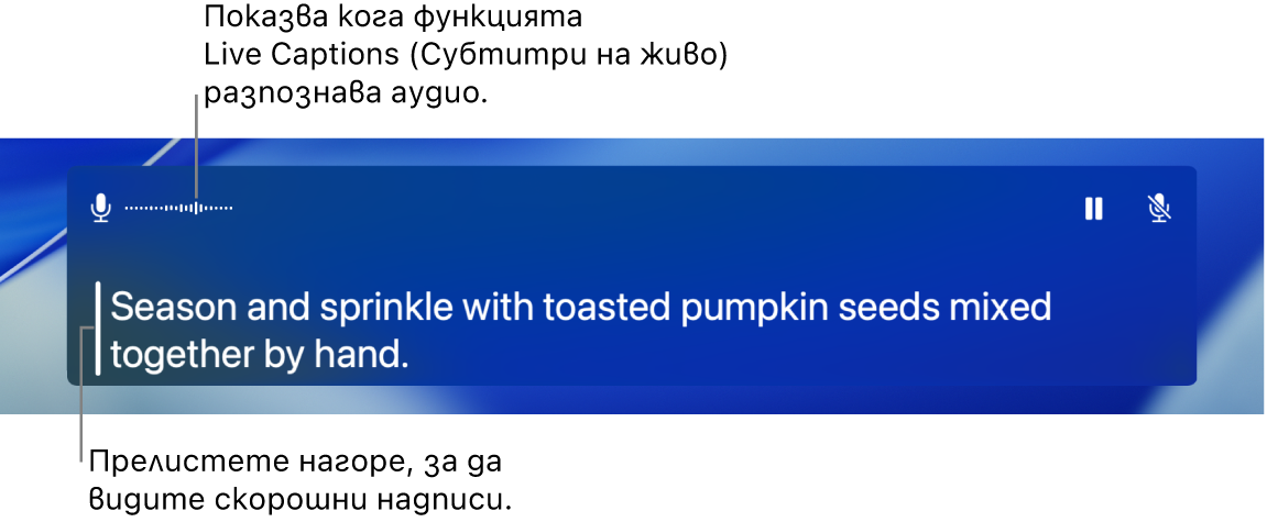 Надписи в реално време за аудио съдържание.